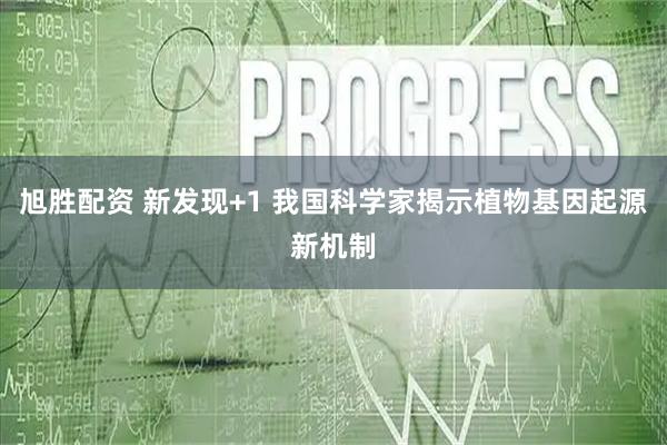 旭胜配资 新发现+1 我国科学家揭示植物基因起源新机制