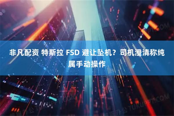 非凡配资 特斯拉 FSD 避让坠机？司机澄清称纯属手动操作