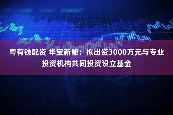 粤有钱配资 华宝新能：拟出资3000万元与专业投资机构共同投资设立基金